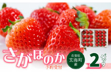 ★予約受付★佐賀県玄海町産「さがほのか」2025年12月中に順次配送