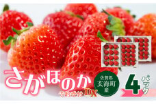 ★予約受付★【配送時期が選べる】佐賀県玄海町産「さがほのかDX」2025年12月中に順次配送