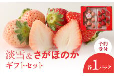 【配送時期が選べる】★予約受付★杉山いちご農園 白いちご「淡雪（あわゆき）」と「さがほのか」ギフトセット　2026年1月～5月までに順次配送