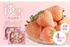 ★予約受付★杉山いちご農園 白いちご「淡雪（あわゆき）DX」2026年1月～4月中に順次配送 ／ 淡雪 白いちご 白イチゴ 苺 いちご 希少 品種 果物 フルーツ 甘い 旬 果実 農産物 国産 数量限定 期間限定 先行予約 予約受付 佐賀県 玄海町 冷蔵
