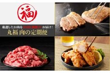 丸福 肉の定期便（6回／偶数月）
