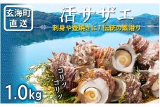 玄海町産 活サザエ 1.0kg ／ 数量限定 希少 貝 魚介 魚介類 海鮮 海産物 サザエ 刺身 壺焼き つぼ焼き バーベキュー BBQ 国産 佐賀県 玄海町【A186】