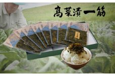 高菜乃華 8個入りセット 高菜漬一筋-前田食品工業 F12-9