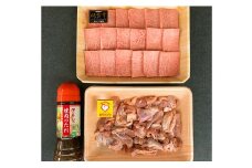【佐賀牛＆有田鶏】バーべキューセット N10-30