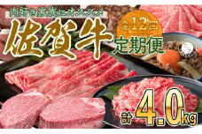 【定期便♪翌月から12ヶ月連続お届け☆】 佐賀牛定期便 12回コース 牛肉 しゃぶしゃぶ ローストビーフ カルビ ロースステーキ バラスライス ヒレステーキ ハンバーグ 切り落とし すき焼き 黒毛和牛 極上の佐賀牛 厳選 200000円 20万円 お肉 贈り物 人気の牛肉定期便12回 牛肉バラエティ定期便12回 ていきびん A5ランク A4ランク N200-5