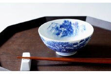 有田焼 呉須染付 山水絵 茶碗 起山窯 A20-122