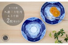 そうた窯 外濃三方牡丹6.5寸皿 2枚セット A35-67
