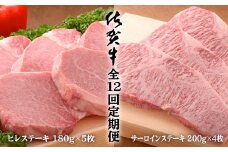 【12回定期便！総計20.4kg♪】佐賀牛ヒレステーキ180g×5枚＆サーロインステーキ200g×4枚 N2500-1