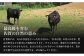 佐賀の山々や清流など、自然の恵みを受けて育った佐賀牛です。