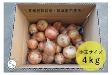 【小玉サイズたまねぎ約4キロ】玉ねぎ 4kg 有機肥料栽培・除草剤不使用 輝ファーマーズ F8-7