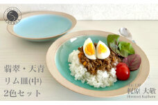 有田焼 青磁リム皿 中 2枚セット【梶原大敬 茂正工房】器 うつわ 食器 皿 深め パスタ皿 カレー皿 ワンプレート 2枚 セット ペア 青磁 翡翠 天青 ブルー 作家 手仕事 ろくろ シンプル 電子レンジ対応 50000円 5万円 A50-262