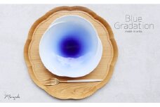 【まるふくオリジナル】有田焼 Blue Gradation Plate 青 ブルー グラデーション 夏の器 涼し気 大皿 パスタ皿 A12-107