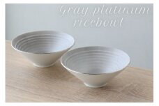 有田焼 グレープラチナ お茶碗 2個セット【山忠】食器 器 うつわ 茶わん 茶碗 夫婦茶碗 ごはん茶碗 ペア シンプル おしゃれ モダン お祝い ギフト 3万円 A30-589