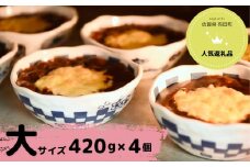 【器いろいろ】有田焼カレー 大サイズ4個入セット スパイス ギフト プレゼント 贈り物 人気 お取り寄せ 冷凍 器 食器 F30-10