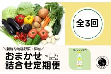 【3回定期便】新鮮な地場 野菜・果物 おまかせ詰合せ（ドレッシング付）3回 定期便 JA伊万里 F30-11
