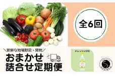 【6回定期便】新鮮な地場 野菜・果物 おまかせ詰合せ（ドレッシング付）6回 定期便 JA伊万里 F60-2
