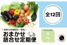 【12回定期便】新鮮な地場 野菜・果物 おまかせ詰合せ（ドレッシング付）12回 定期便 JA伊万里 F120-1