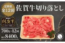 【12回定期便 総計8400g】【佐賀牛】切り落とし肉700g N300-5