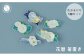 淡い色みといろんな形のお花…。