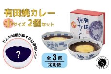 【3回定期便】有田焼カレー(小)【器いろいろ】2個セット JR九州駅弁グランプリ テレビ番組全国駅弁ランキング1位 スパイス ギフト プレゼント 贈り物 人気 お取り寄せ 冷凍 器 食器 F40-9