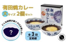 【3回定期便】有田焼カレー(大)【器いろいろ】2個セット JR九州駅弁グランプリ テレビ番組全国駅弁ランキング１位 スパイス ギフト プレゼント 贈り物 人気 お取り寄せ 冷凍 器 食器 F45-1