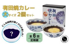 【6回定期便】有田焼カレー(大)【器いろいろ】2個セット JR九州駅弁グランプリ テレビ番組全国駅弁ランキング1位 スパイス ギフト プレゼント 贈り物 人気 お取り寄せ 冷凍 器 食器 F90-1