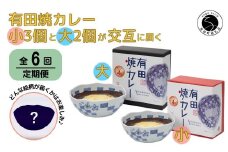 【6回定期便】有田焼カレー(小)3個と(大)2個【器いろいろ】を交互にお届け JR九州駅弁グランプリ テレビ番組全国駅弁ランキング1位 スパイス ギフト プレゼント 贈り物 人気 お取り寄せ 冷凍 器 食器 F90-2