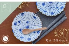 有田焼 十草花散らし 8寸盛皿 24.5cm 2枚セット【まるぶん】食器 器 うつわ 磁器 皿 盛皿 パスタ皿 プレート ワンプレート 菊 手描き 染付 青 ブルー 電子レンジ対応 5万円 A50-280