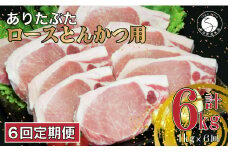 【6回定期便 総計6kg】 ありたぶた ロース とんかつ用 約1kg (1枚約100g×10パック) 6回 定期便 小分け 真空パック 豚肉 N60-3