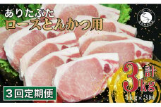 【3回定期便 総計3kg】 ありたぶた ロース とんかつ用 約1kg (1枚約100g×10パック) 3回 定期便 小分け 真空パック 豚肉 N30-27