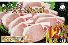 【12回定期便 総計12kg】 ありたぶた ロース とんかつ用 約1kg (1枚約100g×10パック) 12回 定期便 小分け 真空パック 豚肉 N120-4