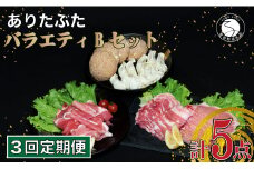 【3回定期便 豚肉5種セット】 ありたぶた バラエティBセット (豚肉5種) 3回 定期便 小分け 真空パック 豚肉 ロース バラ モモ もも 赤身 ハンバーグ 餃子 N30-33