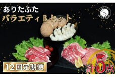 【12回定期便 豚肉5種セット】 ありたぶた バラエティBセット (豚肉5種) 12回 定期便 小分け 真空パック 豚肉 ロース バラ モモ もも 赤身 ハンバーグ 餃子 N120-10
