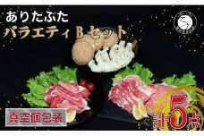 【人気！豚肉5種セット】 ありたぶた バラエティBセット (豚肉5種) 小分け 真空パック 豚肉 ロース バラ モモ もも 赤身 ハンバーグ 餃子 N10-64