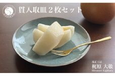 有田焼 貫入取皿 2枚セット【梶原大敬 茂正工房】器 うつわ 食器 皿 取皿 菓子皿 デザート皿 2枚 セット ペア 青磁 貫入 青 夏 上品 シンプル 作家 ろくろ 電子レンジ対応 A25-540