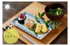 有田焼 長角皿 絵変わり3枚セット 白峰堂 食器 うつわ 器 さかな皿 プレート A35-259