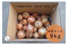 【小玉サイズたまねぎ約9キロ】有機肥料栽培・除草剤不使用 輝ファーマーズ 玉ねぎ 9kg たまねぎ 小ぶり お料理 F12-35