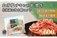 牛肉＆鶏肉 佐賀の地元産お肉を2種楽しめる 佐賀牛小間切れ ありたどり塩ネギ セット 各300g 計600g  肉 佐賀牛 牛肉 おすすめ 1万円 N10-66
