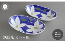 有田焼 食洗機対応 鉄仙花カレー皿 2点セット【泰山】食器 器 うつわ 皿 楕円皿 ボウル A45-287