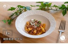 有田焼 切り紙文様のレリーフ 樹葉蕾花 ボウル 1個 (パステルアイボリー) 切り紙作家「矢口加奈子」とのコラボ【ワークショップワイズケイ】食器 皿 鉢 深皿 パスタ皿 パスタボウル カレー皿 スープボウル 白色 ギフト A15-299