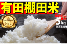 ＜予約受付＞【10月下旬より順次発送】【数量限定】令和7年産 有田 棚田米 5kg 米【みゆきファーム】精米済 白米 5kg 減農薬 organic 棚田米 有田町 令和7年度産 新米 K14-12