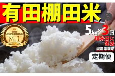 ＜予約受付＞【10月下旬より順次発送】【数量限定】令和7年産 有田 棚田米 5kg<3回定期便> 合計 15kg【みゆきファーム】米 5kg 精米済 白米 定期便 減農薬 organic 棚田米 有田町 令和7年度産 新米 K45-8