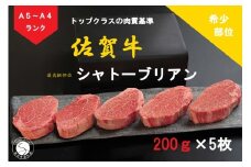 佐賀牛 シャトーブリアン（200g×5枚）【陶窯みかわや】最高級 希少部位 A5 A4 黒毛和牛 厳選 ブランド牛 ステーキ 1kg 霜降り お肉の女王 240000円 24万円 N240-4
