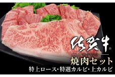 地元精肉店厳選 佐賀牛 3種の焼肉セット 500g ／ふるさと納税 肉 お肉 にく ギフト 牛肉 焼肉 焼き肉 タレ 国産 赤身 佐賀 バーベキュー
