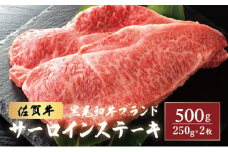 【佐賀牛サーロインステーキ】佐賀牛サーロインステーキ 500g (250g×2枚) ／ ふるさと納税 肉 お肉 にく ギフト 牛肉 ステーキ サーロイン タレ 国産 赤身 佐賀 バーベキュー