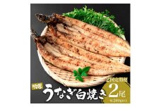 ＜定期便2回＞ うなぎ白焼き 計800g (200g×2尾×2回) ／ うなぎ 鰻 ウナギ 蒲焼 蒲焼き 土用 丑の日 特選 肉厚 たれ 国産 ふるさと 鰻丼 鰻重 うな重 うなぎたれ ギフト 贈り物 佐賀 佐賀県
