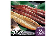 ＜定期便2回＞ うなぎ 蒲焼き 白焼き 食べ比べセット 計800g (200g×各1尾×2回) ／うなぎ 鰻 ウナギ 蒲焼 蒲焼き 土用 丑の日 特選 肉厚 たれ 国産 ふるさと 鰻丼 鰻重 うな重 うなぎたれ ギフト 贈り物 佐賀 佐賀県 送料無料