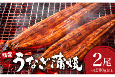 うなぎ蒲焼き 400g (200g×2尾) ／ 国産 蒲焼き 長焼き ウナギ 鰻 蒲焼 冷凍 贈答 うなぎ