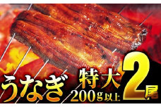 うなぎ蒲焼き 400g (200g×2尾) 土用の丑の日7月24日着