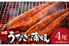 うなぎ蒲焼き 800g (200g×4尾) ／ 国産 蒲焼き 長焼き ウナギ 鰻 蒲焼 冷凍 贈答 うなぎ